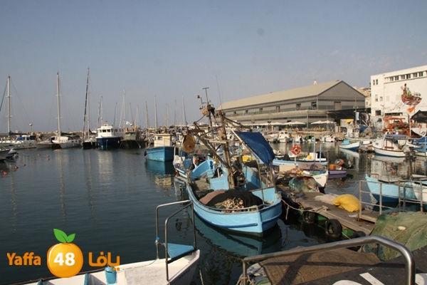 mina2 yaffaj3531 (1).JPG